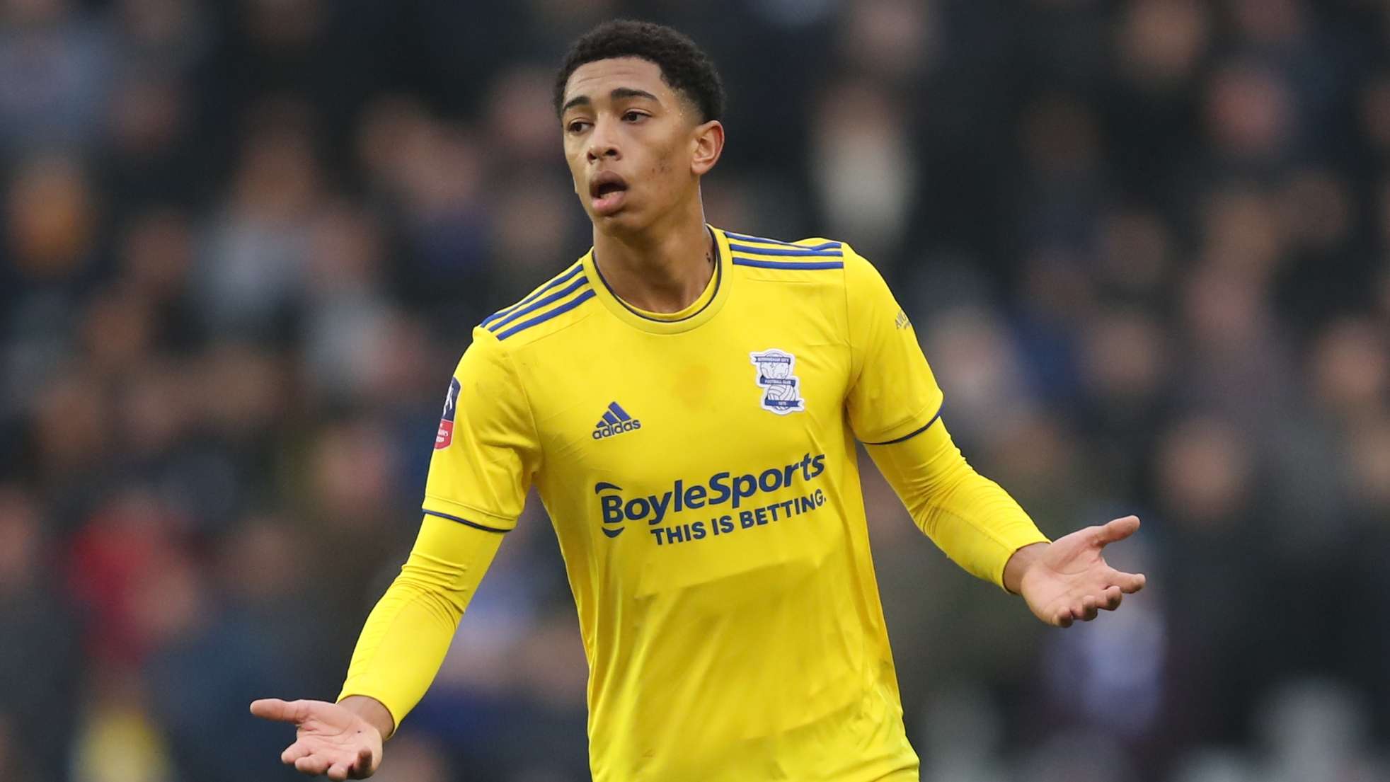 仅是足球技 仅是足球技