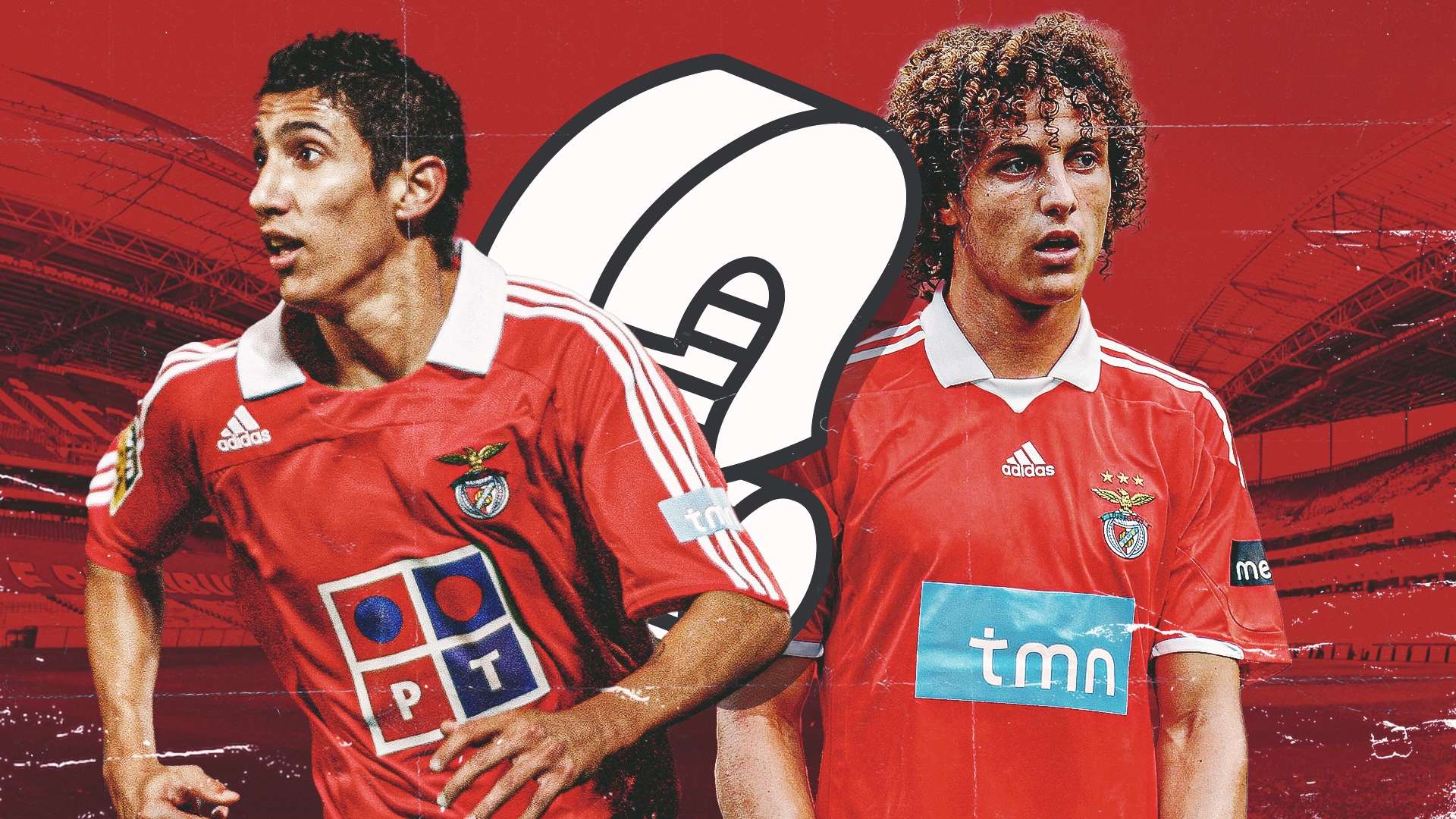 球迷们的欢 球迷们的欢